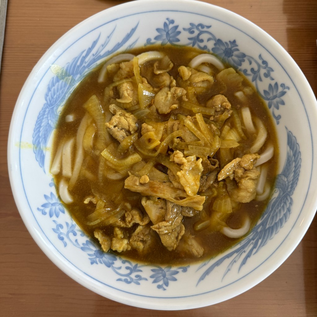 Japanese Curry Udon